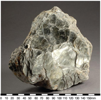 Muscovite